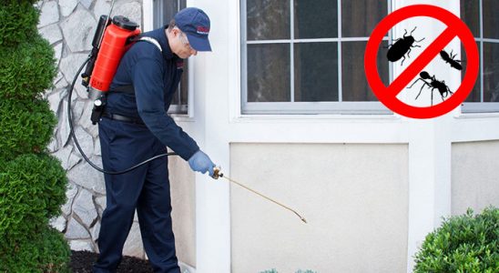 Gelibolu Dezenfeksiyon böcek ilaçlama ve haşere kontrolü — ilaclama-tr.com